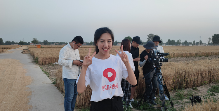 王晓楠