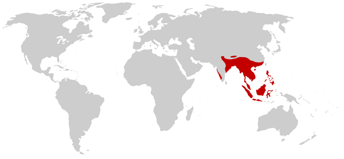 Distribution_O._hannah.png