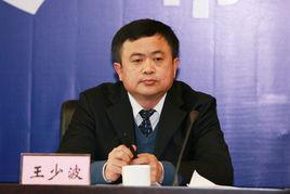 王少波