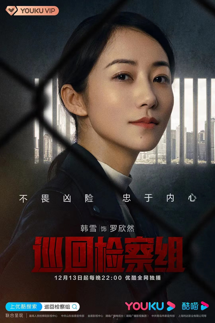 巡回检察组