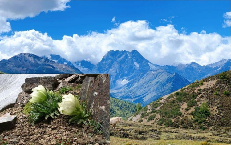 迪庆藏族自治州