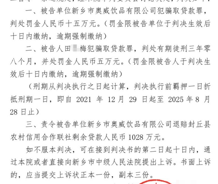 河南新乡奥威公司骗贷案