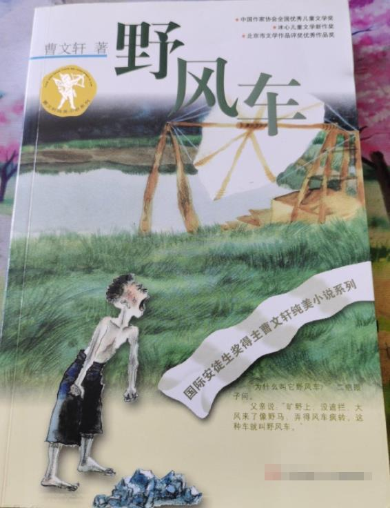 野风车