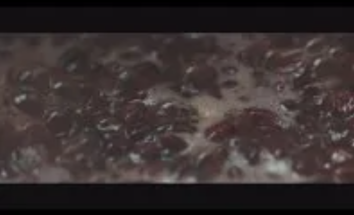 澄沙
