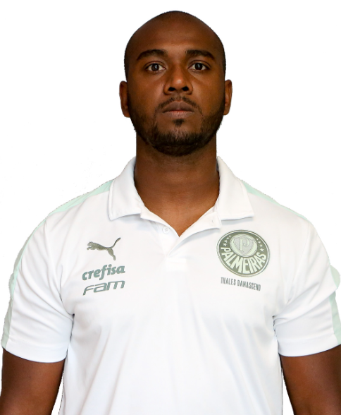 帕尔梅拉斯足球俱乐部