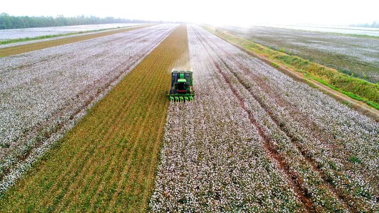 新疆维吾尔自治区