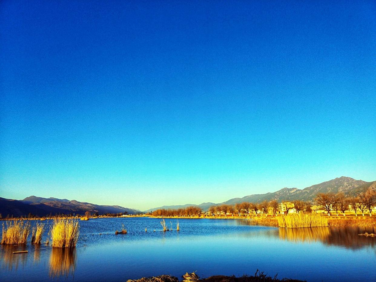 鹤庆县