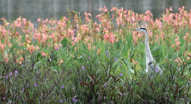 云南广播电视台