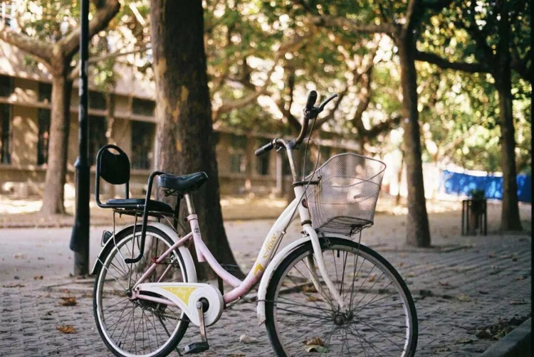 陕西科技大学