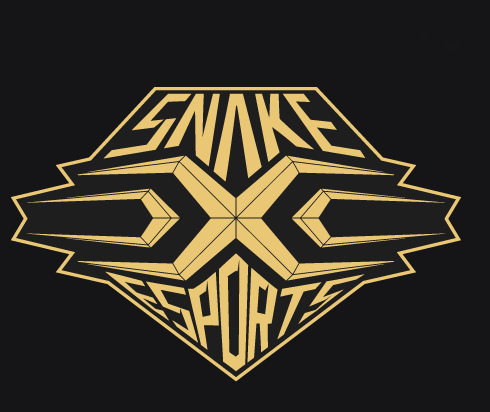 LNG电子竞技俱乐部