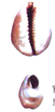 微信图片_20231108015538.png