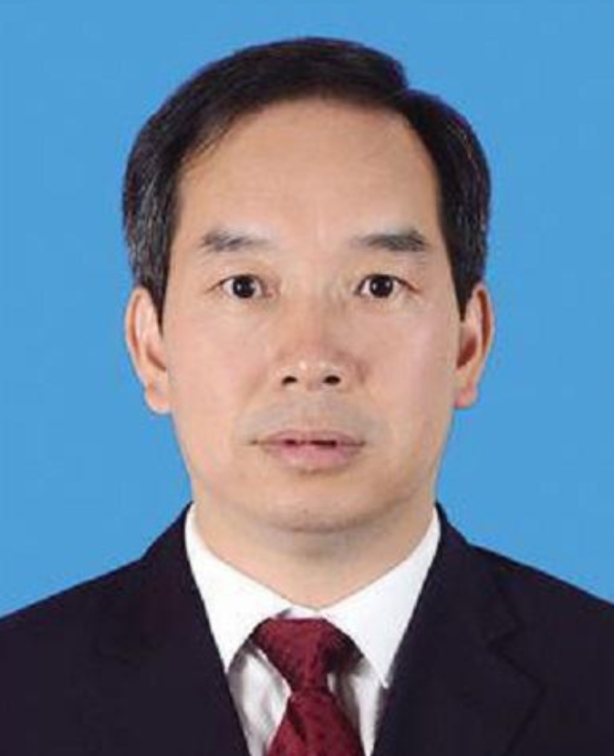 陈华