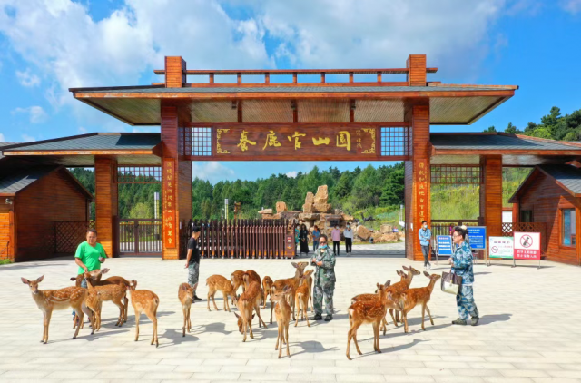 养鹿官山园.png