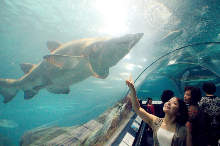 上海海洋水族馆