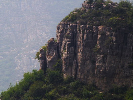 金栗山森林公园.png