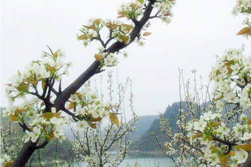 建昌县