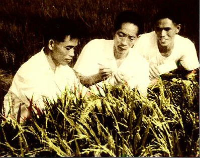 绿色革命