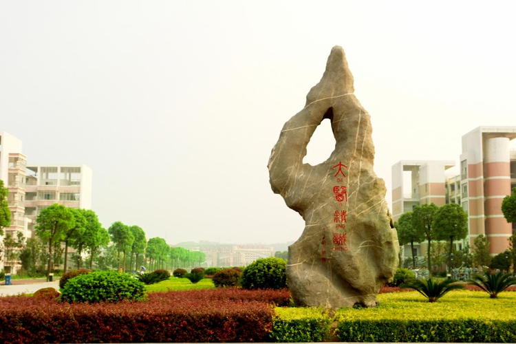 湖南中医药大学湘杏学院6.jpeg