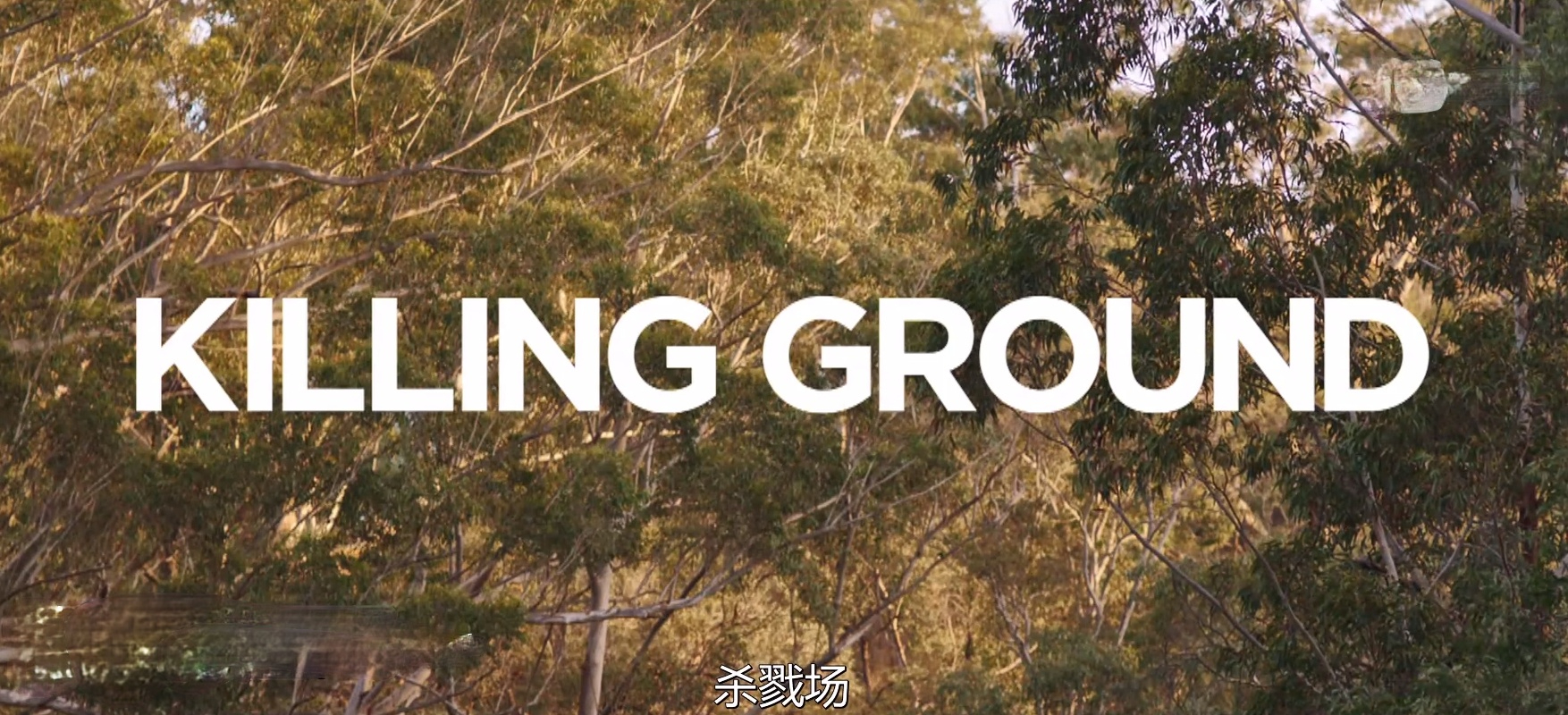 杀戮场