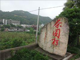 茶园村