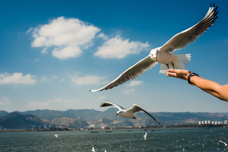 长岛海洋生态文明综合试验区