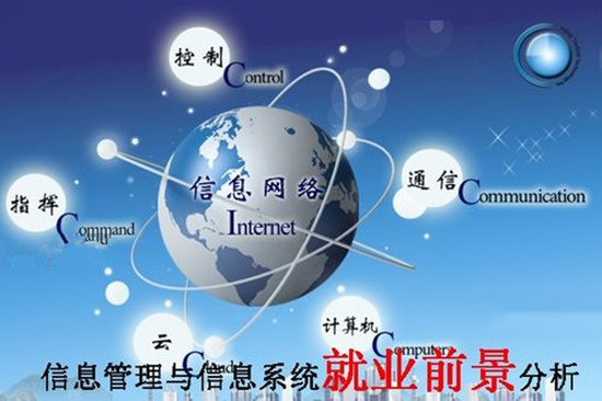 信息管理与信息系统