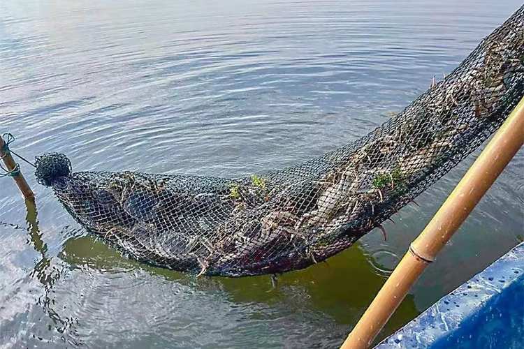 东西湖区