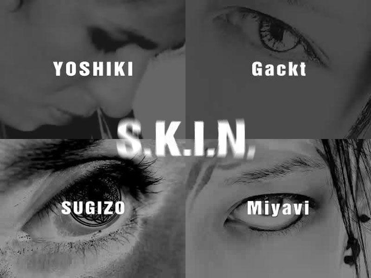 s.k.i.n
