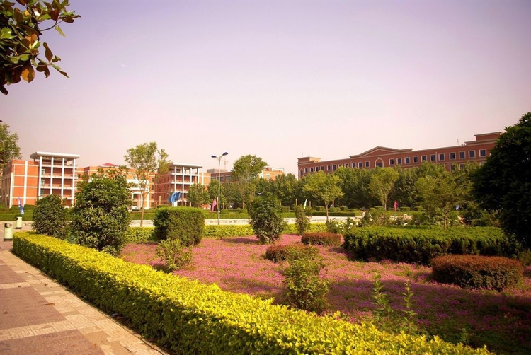 长安大学兴华学院