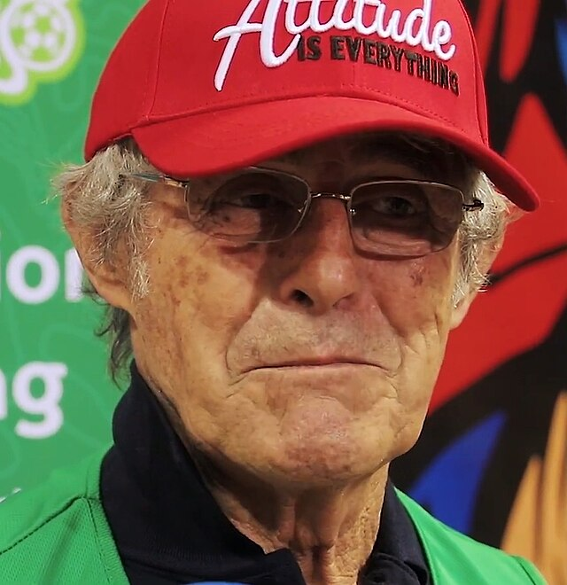 博拉·米卢蒂诺维奇