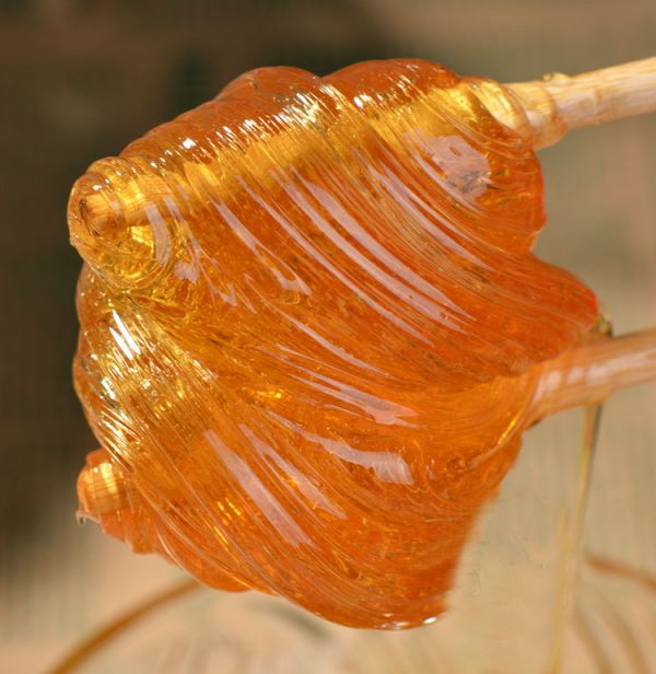麦芽糖