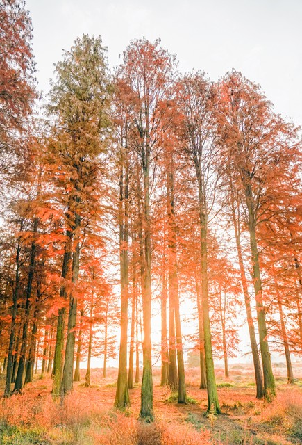 乳源瑶族自治县