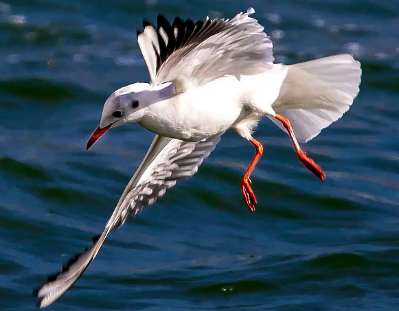 北戴河风景名胜区