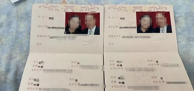 23岁女子与51岁男子代孕生8娃事件