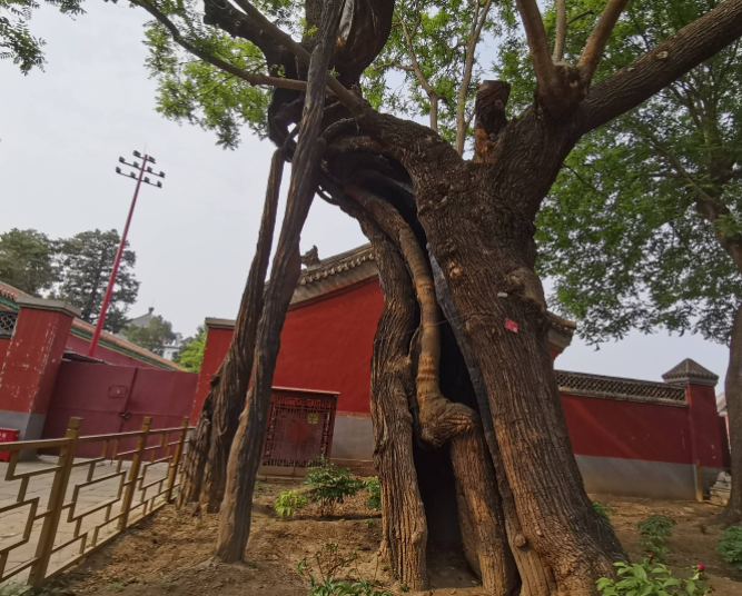 屏幕截图 2023-09-01 185937.png