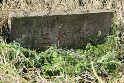 应城市