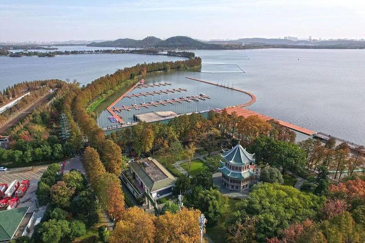 东西湖区