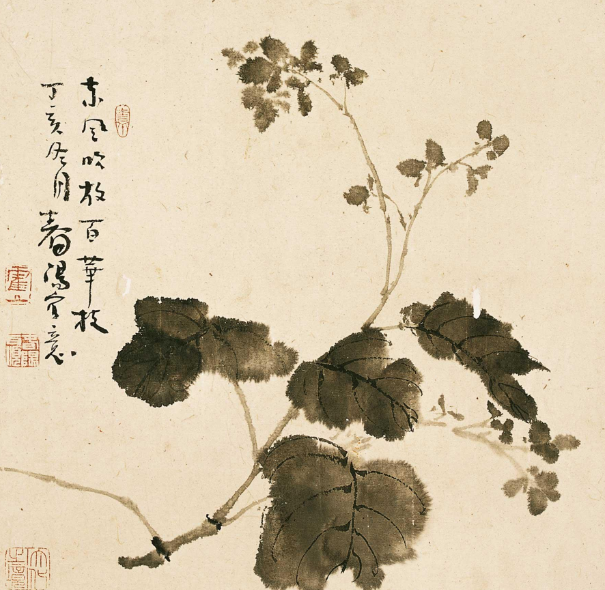 霍春阳