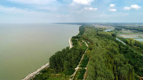 洪泽湖湿地景区