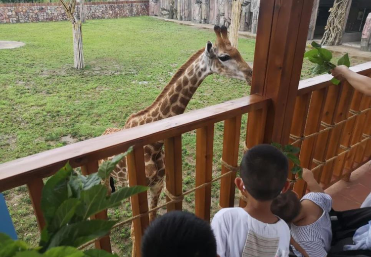 紫清湖野生动物世界