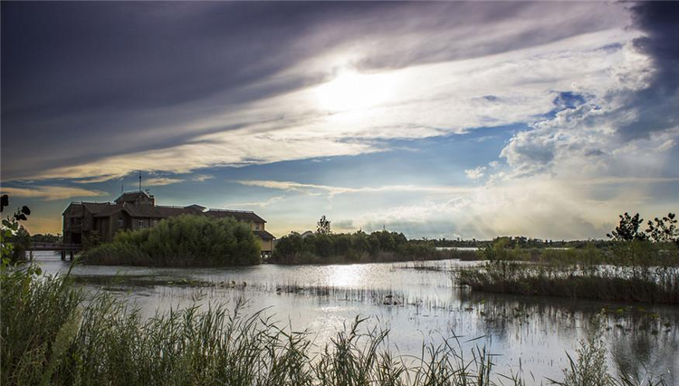 洪泽湖湿地景区