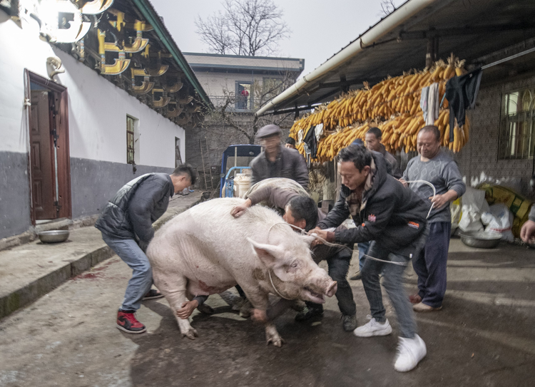 凉山彝族自治州