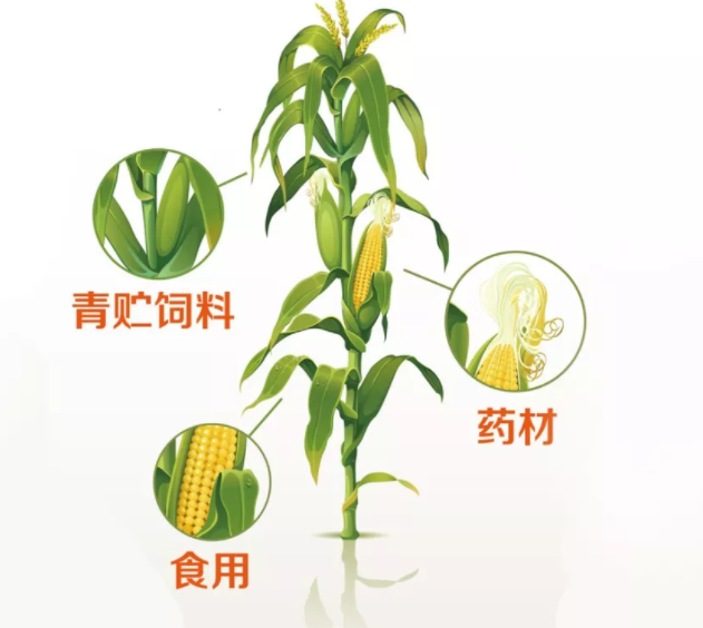 屏幕截图 2023-08-31 101739.png