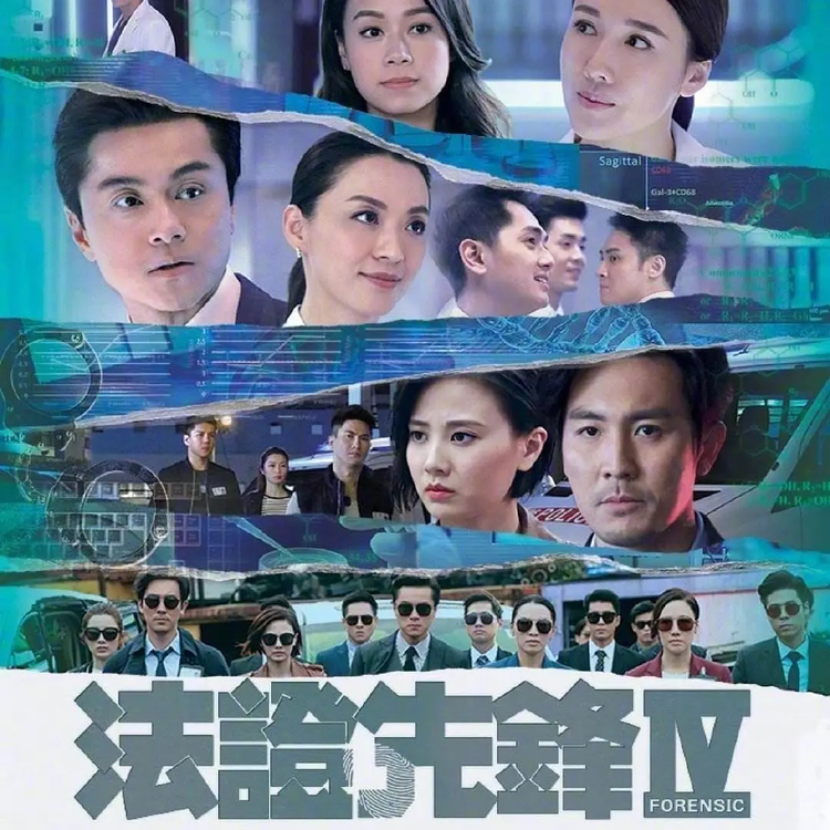 邵展鹏