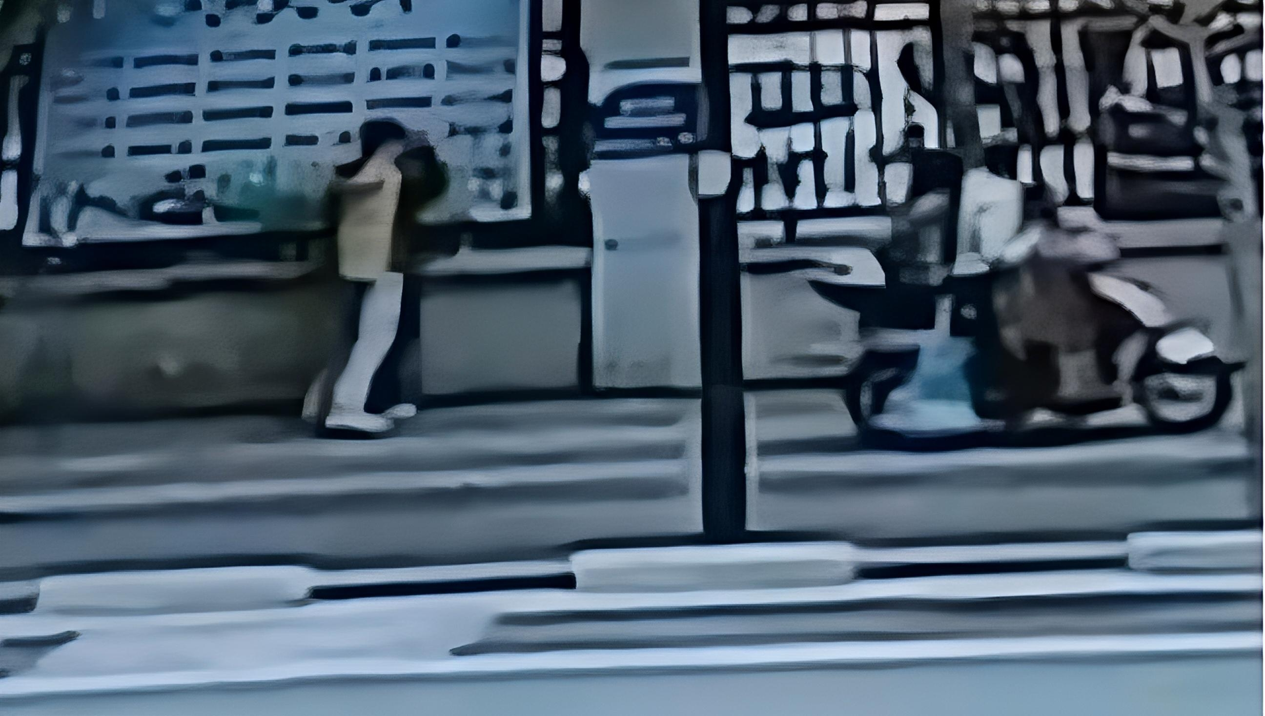 12·9湛江男子当街捅杀女子案