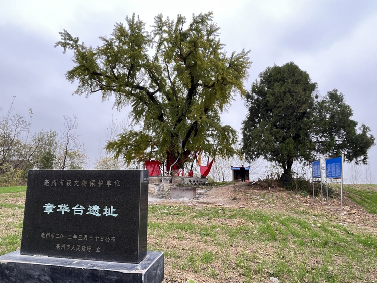 涡河