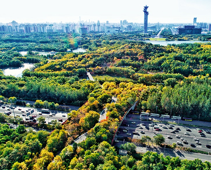 奥林匹克森林公园