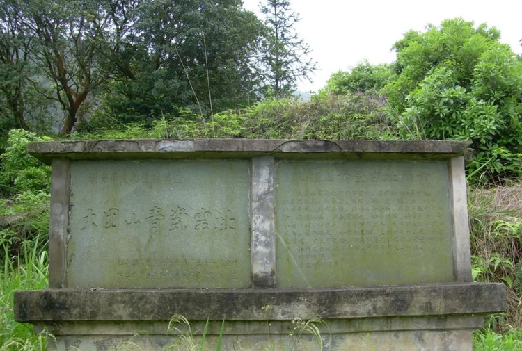 青瓷遗址.png