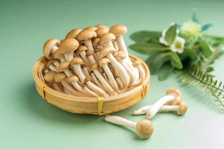 蟹味菇特写