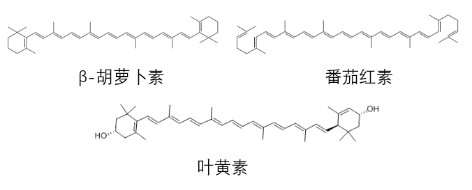 抗氧化剂
